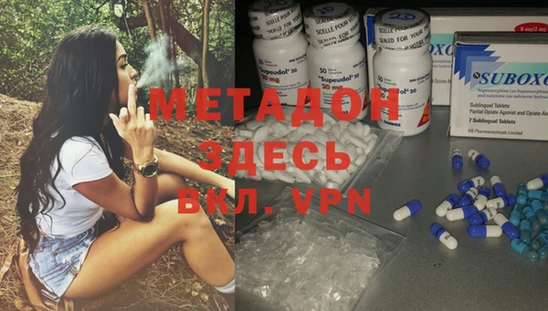 индика Горнозаводск