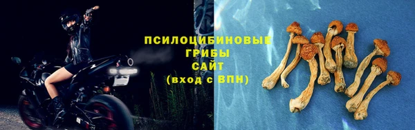 ешки Горно-Алтайск