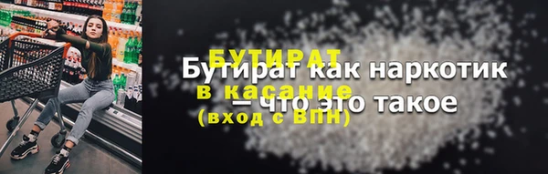 индика Горнозаводск