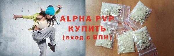 индика Горнозаводск
