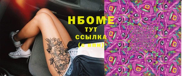 индика Горнозаводск