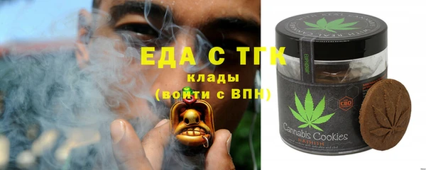 индика Горнозаводск