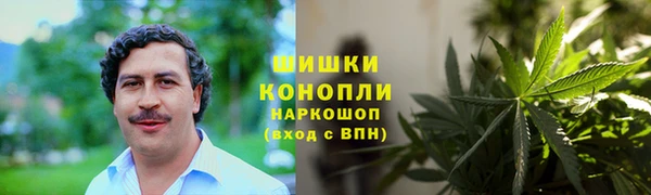 индика Горнозаводск