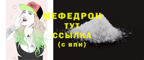 индика Горнозаводск