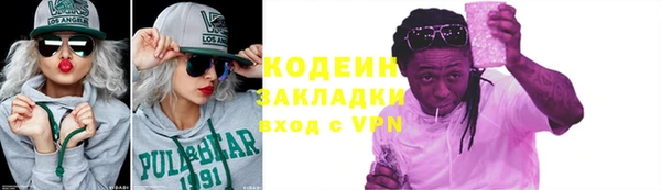 индика Горнозаводск