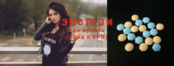 индика Горнозаводск