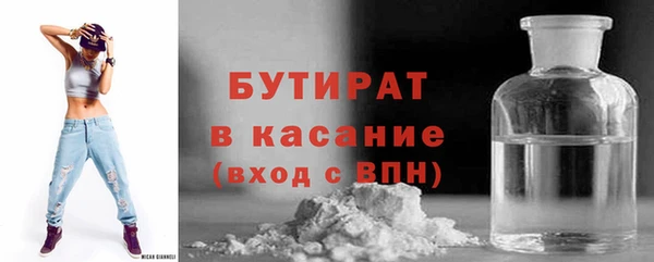 индика Горнозаводск