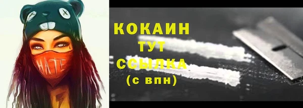 PSILOCYBIN Вяземский