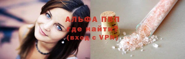 индика Горнозаводск