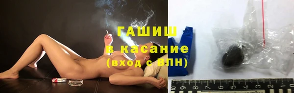 индика Горнозаводск
