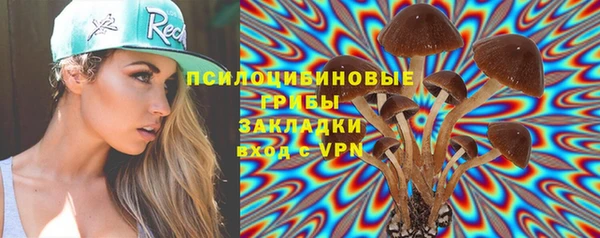 ешки Горно-Алтайск