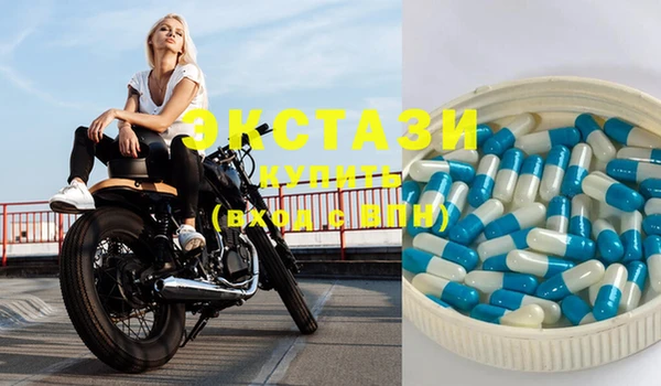 индика Горнозаводск