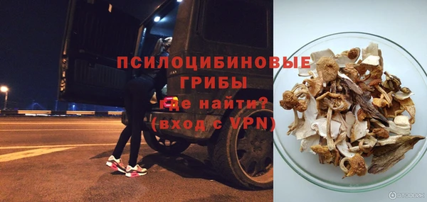 ешки Горно-Алтайск