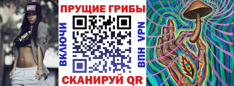 Купить закладки  Соль-Илецк  Галлюциногенные грибы Psilocybine cubensis 