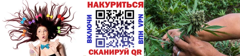 Бошки марихуана SATIVA & INDICA  Купить где  Соль-Илецк 